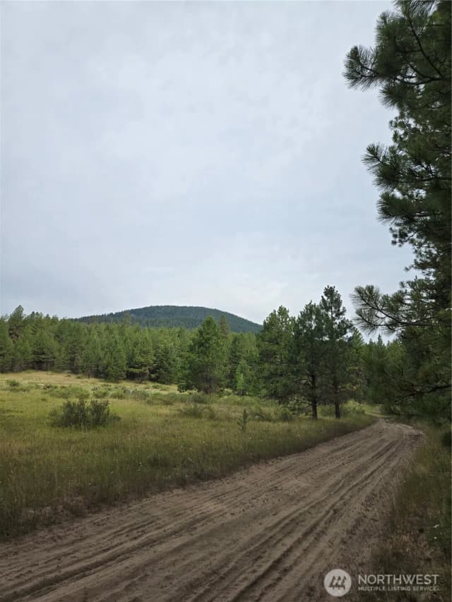 Property photo for 0 Tbd Turner Lake Road, Tonasket photo 2
