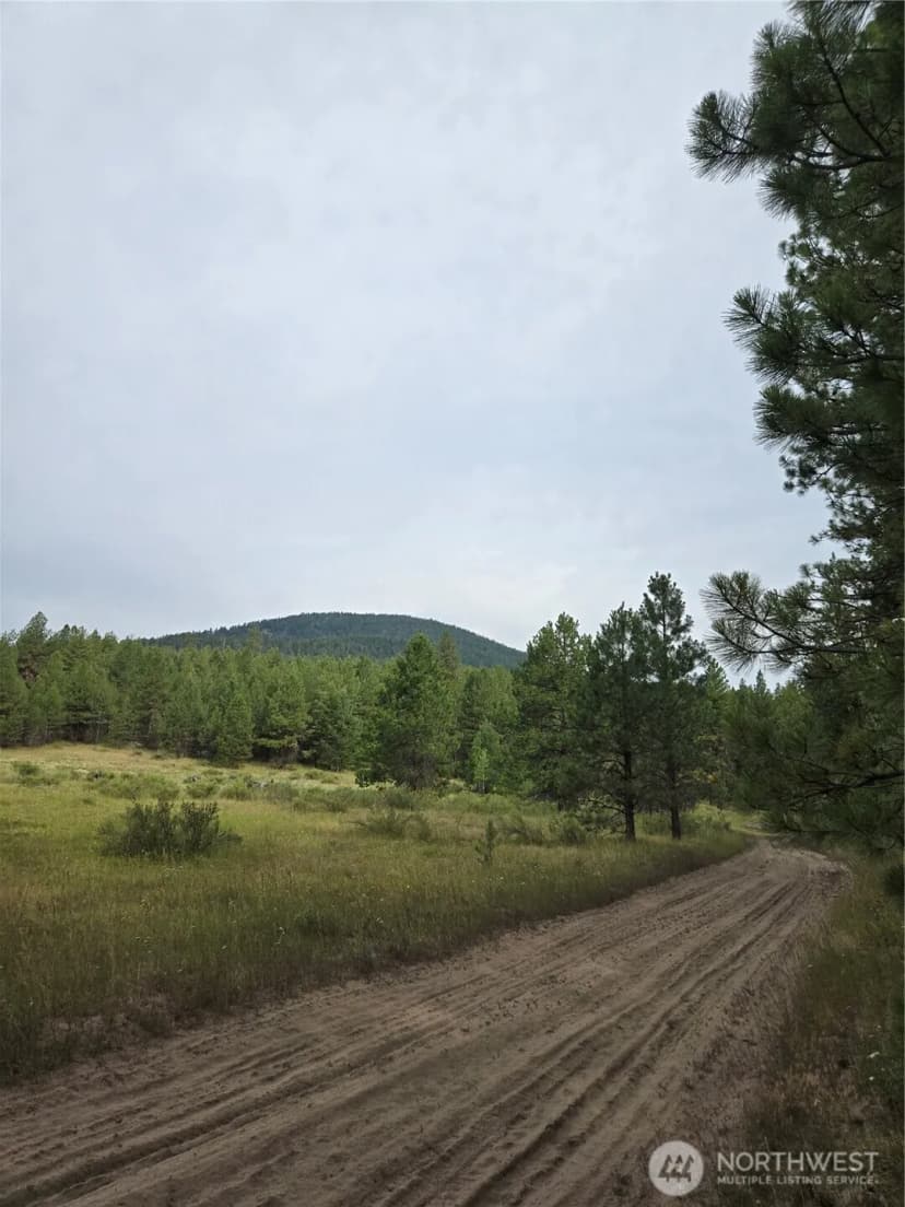 Property photo for 0 Tbd Turner Lake Road, Tonasket photo 2