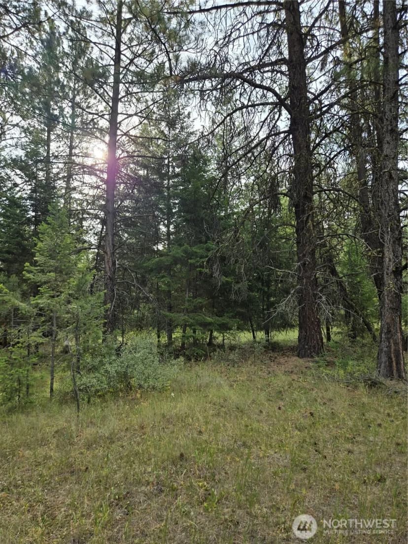Property photo for 0 Tbd Turner Lake Road, Tonasket photo 8
