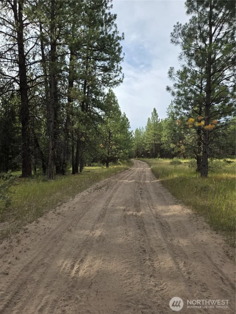 Property photo for 0 Tbd Turner Lake Road, Tonasket photo 13