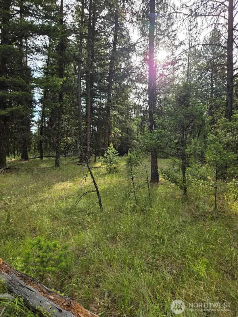 Property photo for 0 Tbd Turner Lake Road, Tonasket photo 11