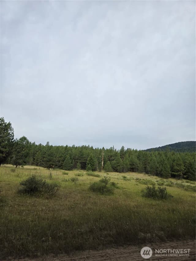 Property photo for 0 Tbd Turner Lake Road, Tonasket photo 3