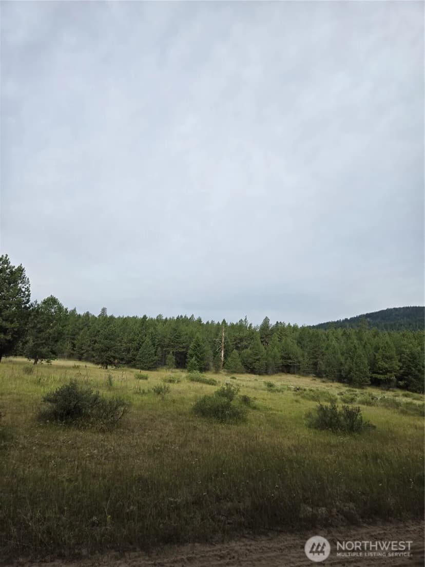 Property photo for 0 Tbd Turner Lake Road, Tonasket photo 3
