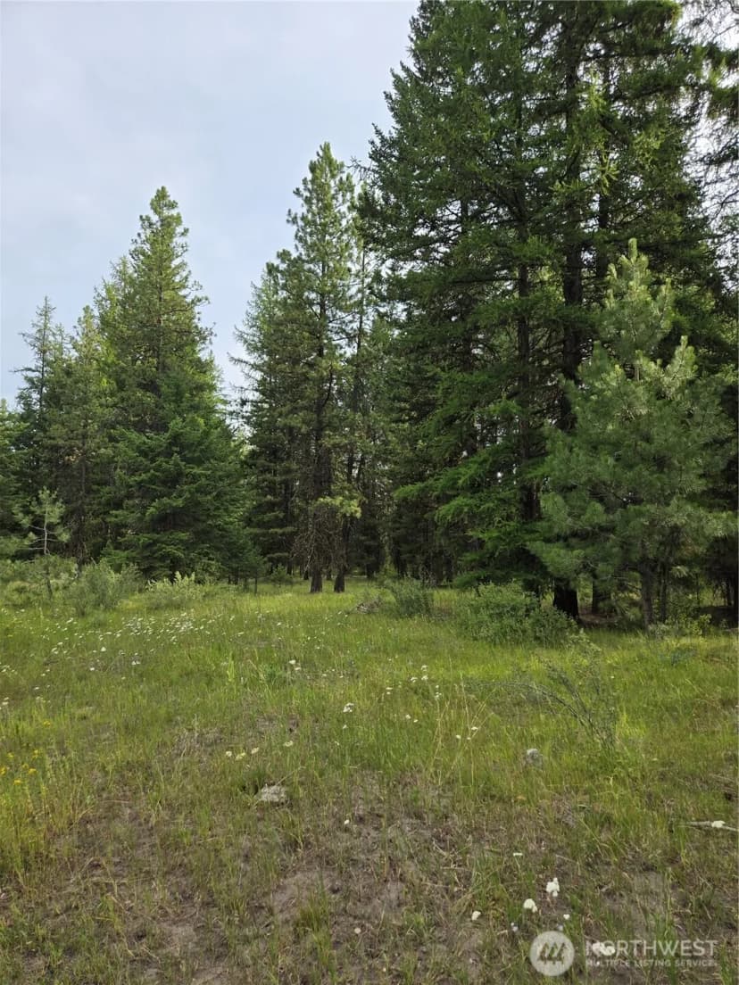 Property photo for 0 Tbd Turner Lake Road, Tonasket photo 7