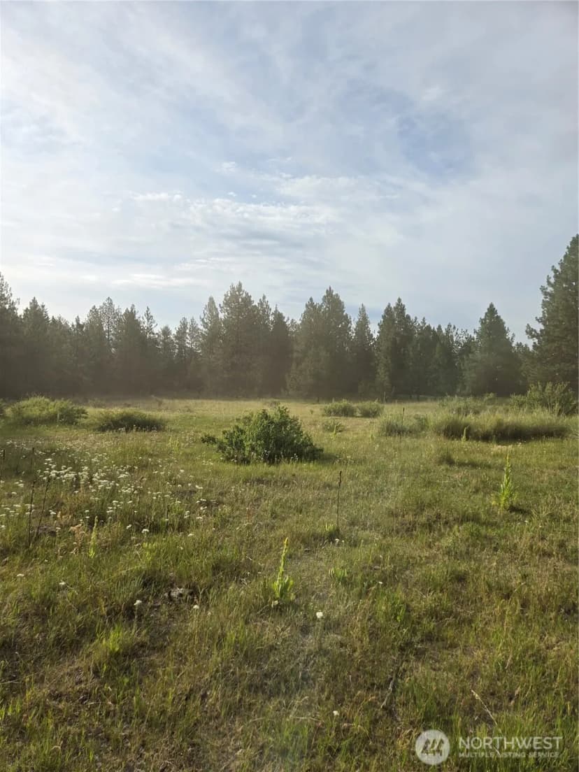 Property photo for 0 Tbd Turner Lake Road, Tonasket photo 12