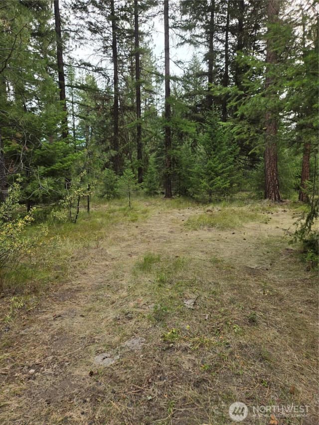 Property photo for 0 Tbd Turner Lake Road, Tonasket photo 4