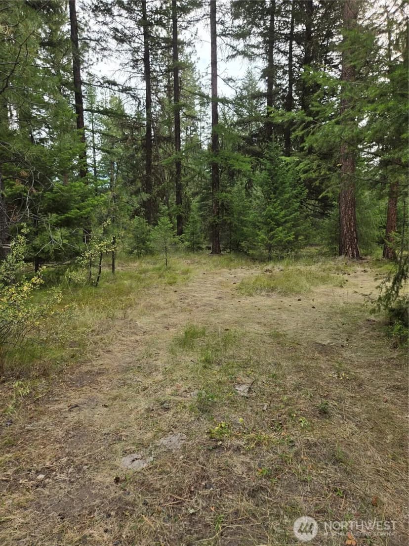 Property photo for 0 Tbd Turner Lake Road, Tonasket photo 4