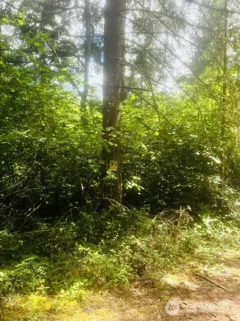 Property photo for 33414 68th Avenue S, Roy photo 6