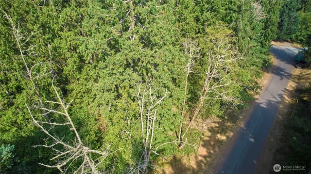 Property photo for 10114 Selma Circle, Anderson Island photo 3