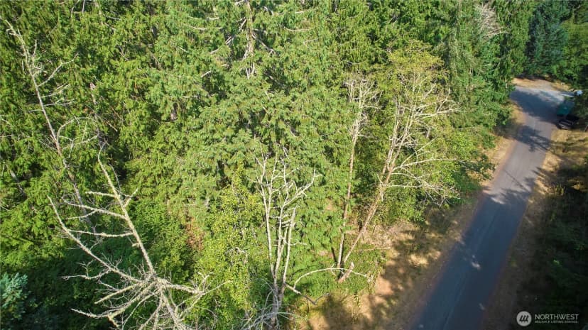 Property photo for 10114 Selma Circle, Anderson Island photo 3