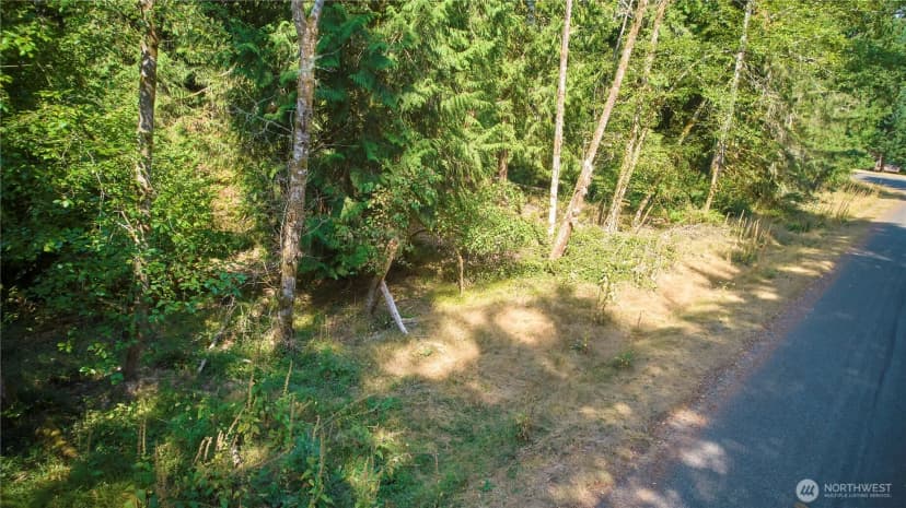 Property photo for 10114 Selma Circle, Anderson Island photo 2
