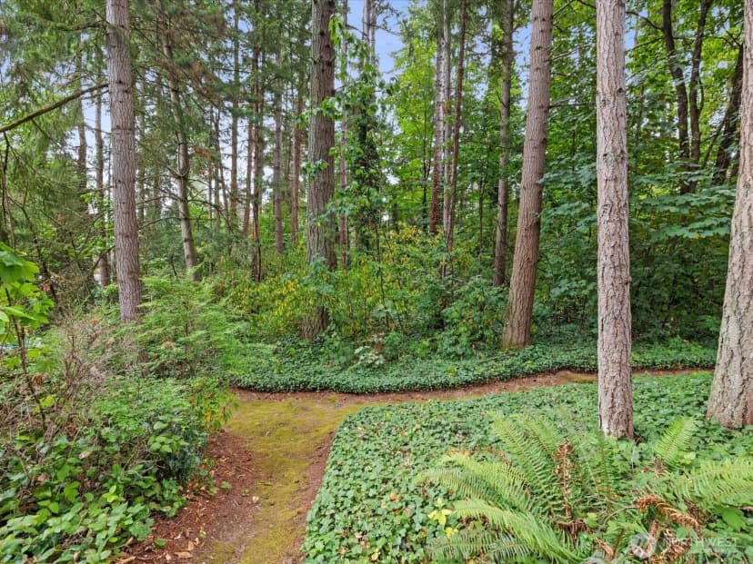 Property photo for 8511 Main Street #205, Edmonds photo 35