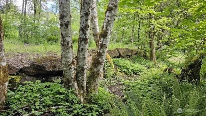 Property photo for 136 Peppermill Drive, Kelso photo 8