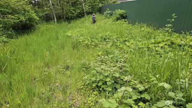 Property photo for 136 Peppermill Drive, Kelso photo 5
