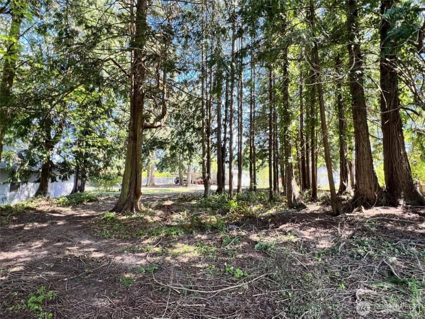 Property photo for 9999 Prater Place Lot 16, Sequim photo 12