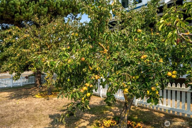 Property photo for 3962 Saltspring Drive, Ferndale photo 4