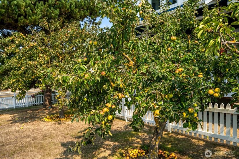 Property photo for 3962 Saltspring Drive, Ferndale photo 4