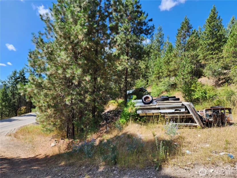 Property photo for 0 Lot 1 Klondike Road, Republic photo 5
