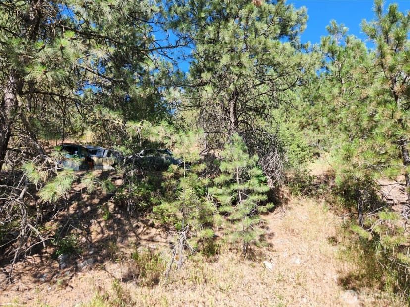 Property photo for 0 Lot 1 Klondike Road, Republic photo 2