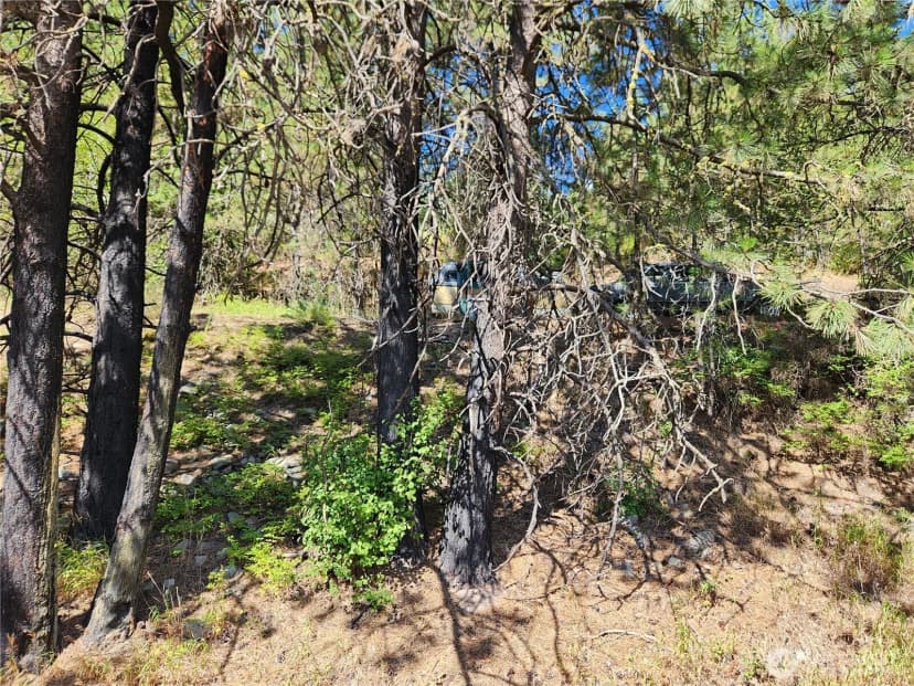 Property photo for 0 Lot 1 Klondike Road, Republic photo 8