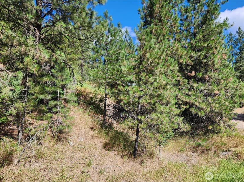 Property photo for 0 Lot 1 Klondike Road, Republic photo 7