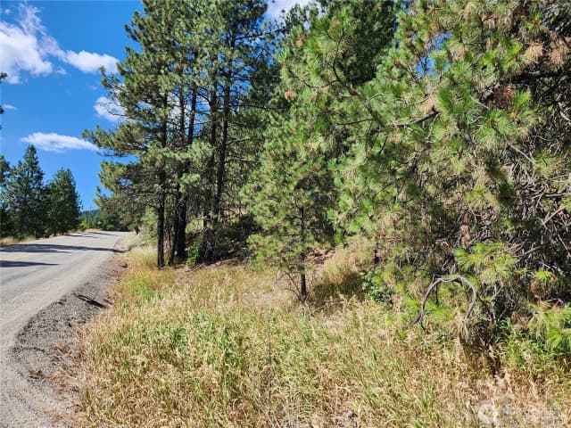 Property photo for 0 Lot 1 Klondike Road, Republic