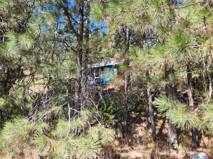 Property photo for 0 Lot 1 Klondike Road, Republic photo 3