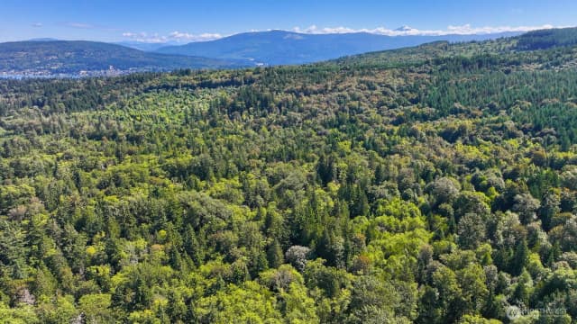 Property photo for 0 Pine Street, Bellingham
