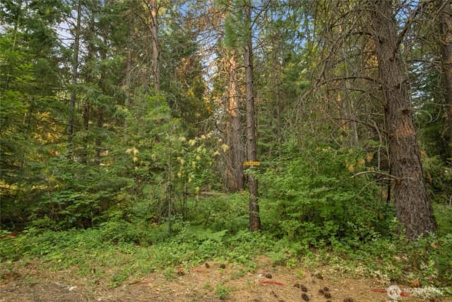 Property photo for 2 Oakmont, Cle Elum photo 4