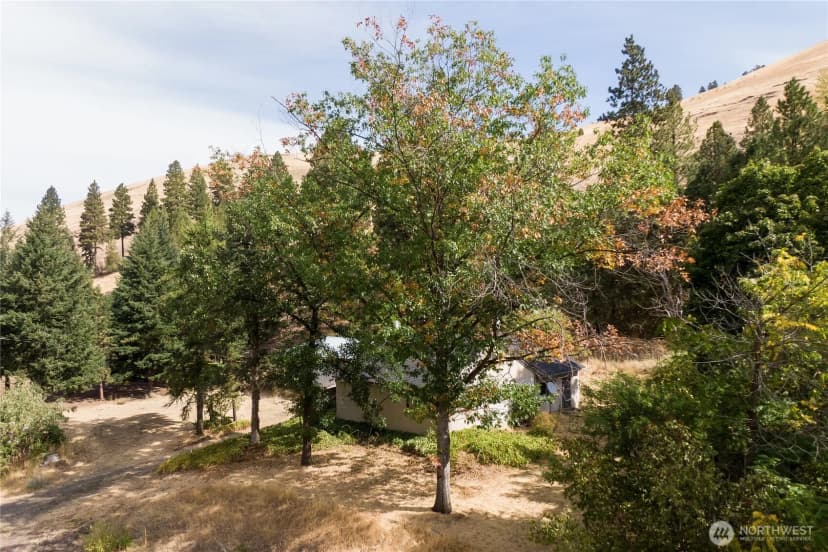 Property photo for 8117 Mill Creek Road, Walla Walla photo 6