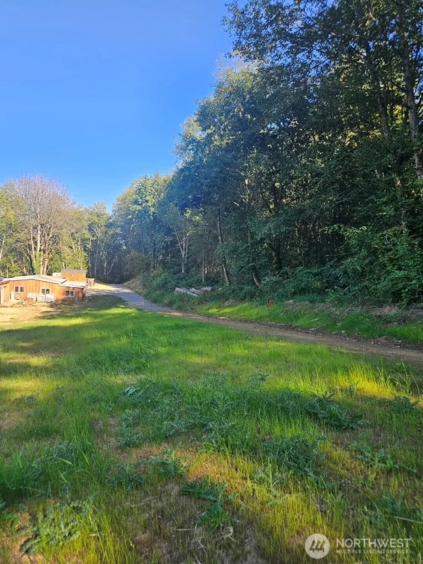 Property photo for 218 Bowen Road #84, Mossyrock photo 2