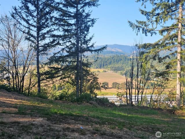 Property photo for 218 Bowen Road #84, Mossyrock photo 4