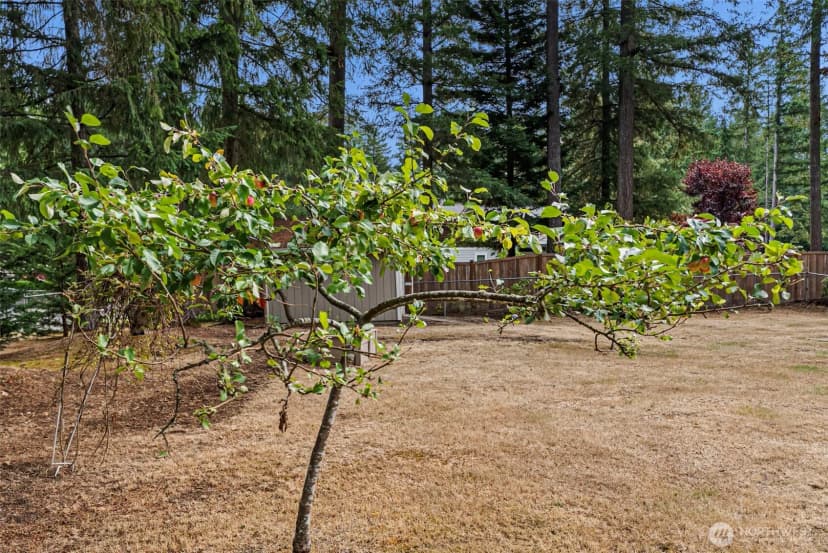 Property photo for 3821 Firdrona Drive Nw, Gig Harbor photo 19