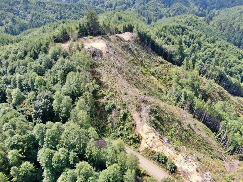 Property photo for 0 M.p. 13 Smith Creek Road, Cosmopolis photo 2