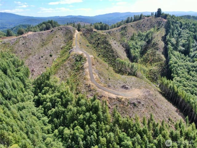 Property photo for 0 M.p. 13 Smith Creek Road, Cosmopolis