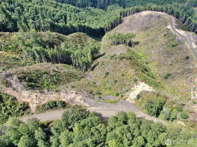 Property photo for 0 M.p. 13 Smith Creek Road, Cosmopolis photo 3