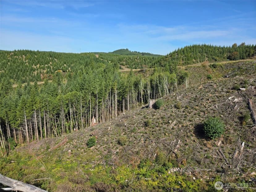 Property photo for 0 M.p. 13 Smith Creek Road, Cosmopolis photo 12