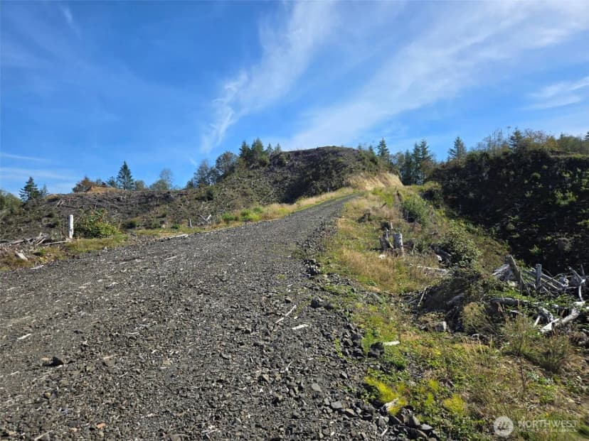 Property photo for 0 M.p. 13 Smith Creek Road, Cosmopolis photo 14
