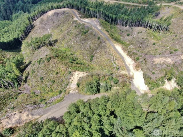 Property photo for 0 M.p. 13 Smith Creek Road, Cosmopolis photo 4