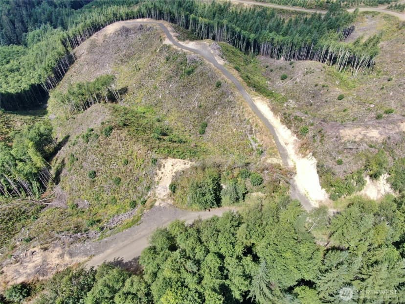 Property photo for 0 M.p. 13 Smith Creek Road, Cosmopolis photo 4
