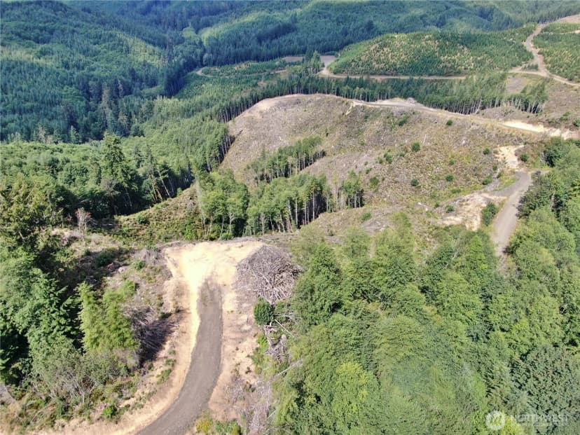 Property photo for 0 M.p. 13 Smith Creek Road, Cosmopolis photo 5