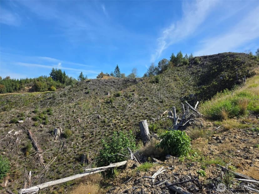 Property photo for 0 M.p. 13 Smith Creek Road, Cosmopolis photo 13