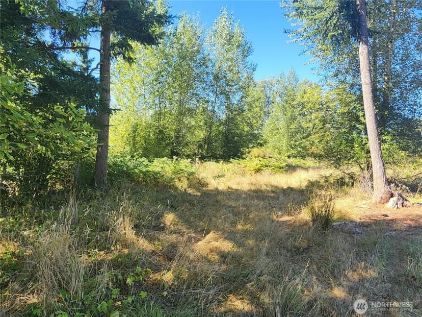 Property photo for 31208 Lebor Devore Road E, Eatonville photo 7