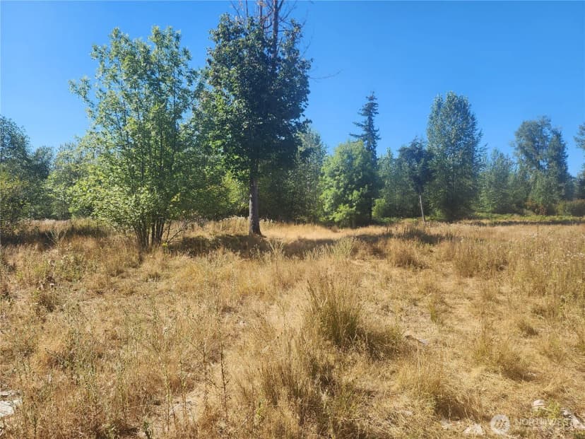 Property photo for 31208 Lebor Devore Road E, Eatonville photo 12