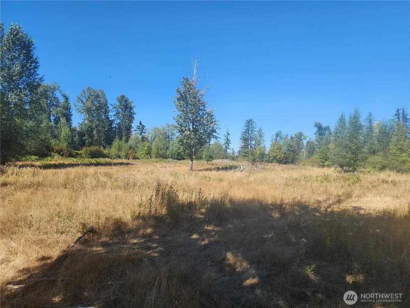 Property photo for 31208 Lebor Devore Road E, Eatonville photo 11