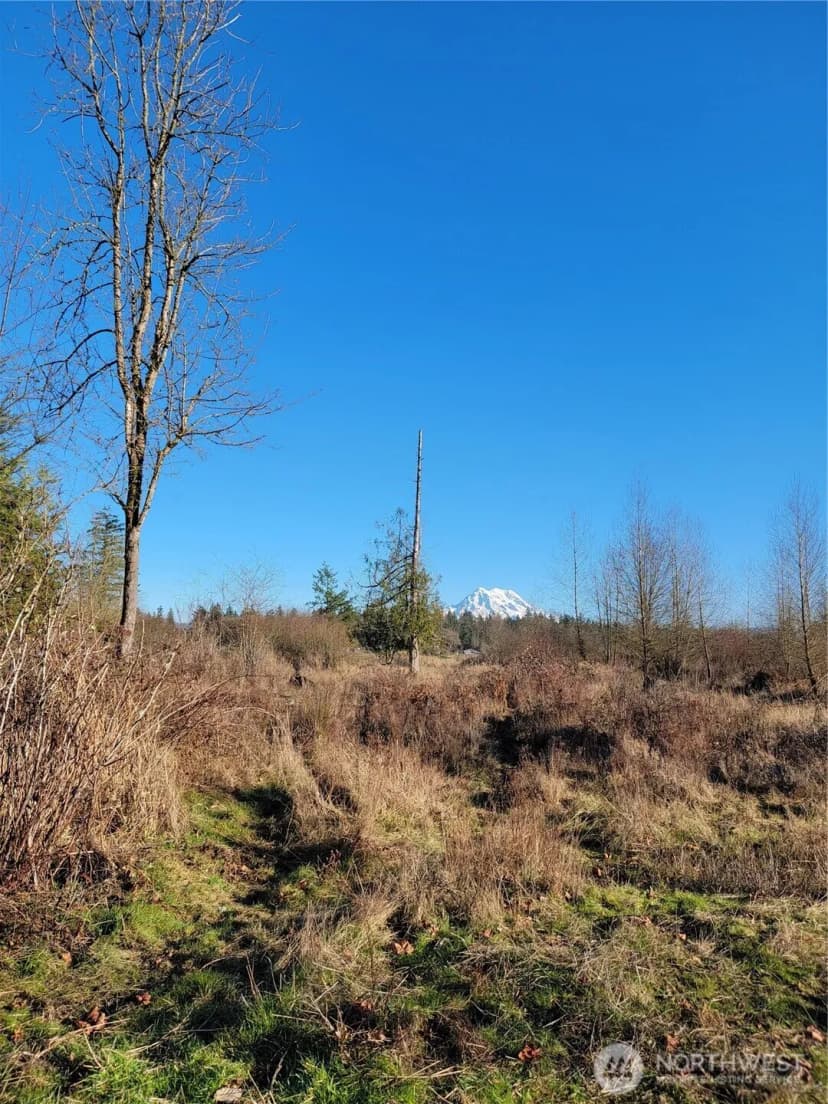 Property photo for 31208 Lebor Devore Road E, Eatonville photo 10