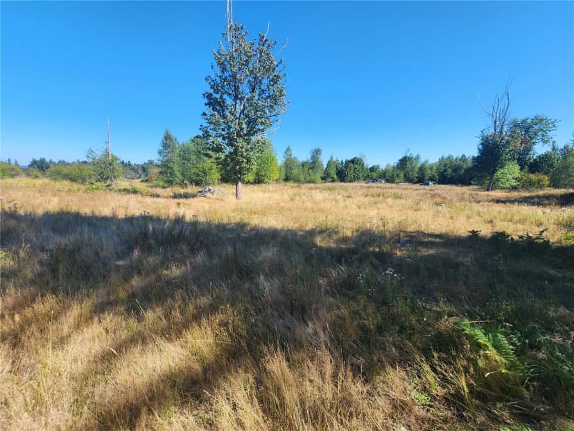 Property photo for 31208 Lebor Devore Road E, Eatonville photo 6