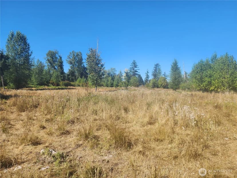 Property photo for 31208 Lebor Devore Road E, Eatonville photo 15