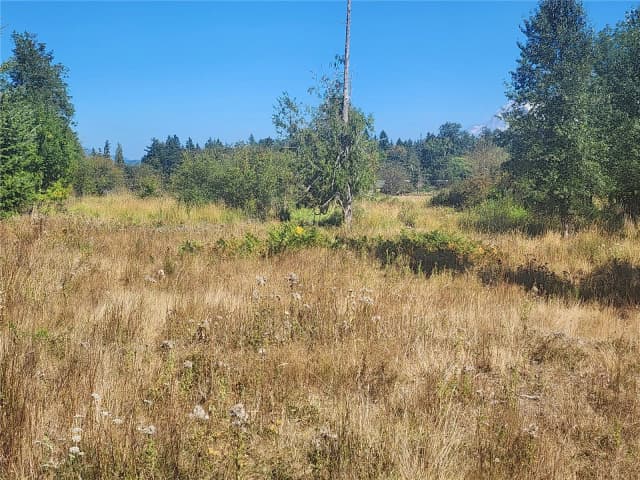 Property photo for 31208 Lebor Devore Road E, Eatonville photo 5