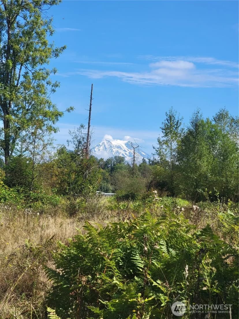 Property photo for 31208 Lebor Devore Road E, Eatonville photo 3